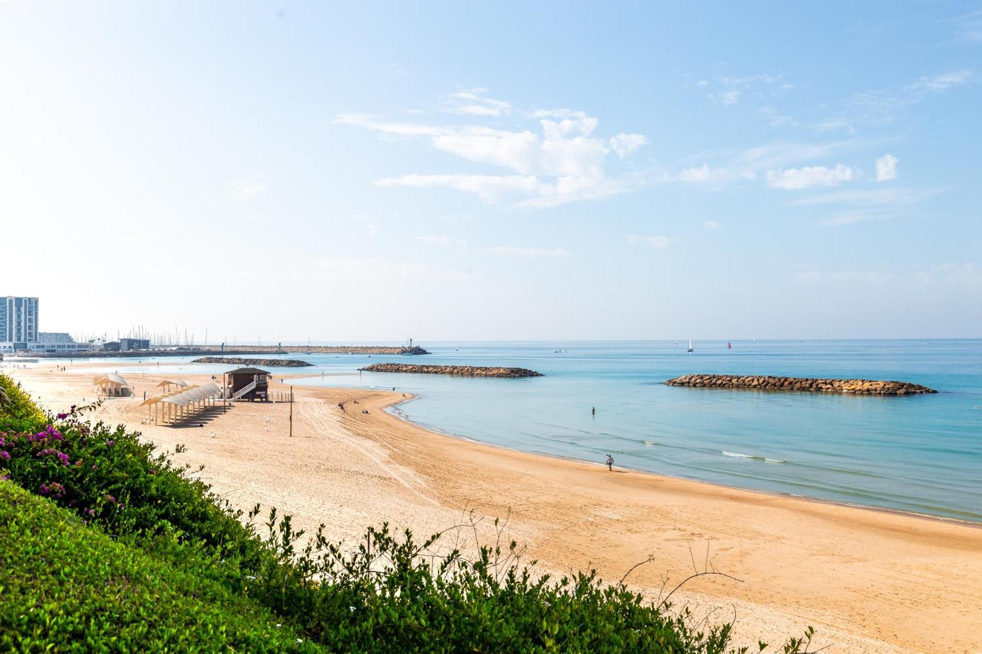 ダニエル ヘルツリーヤ ホテル Herzelia エクステリア 写真 The beach of Netanya